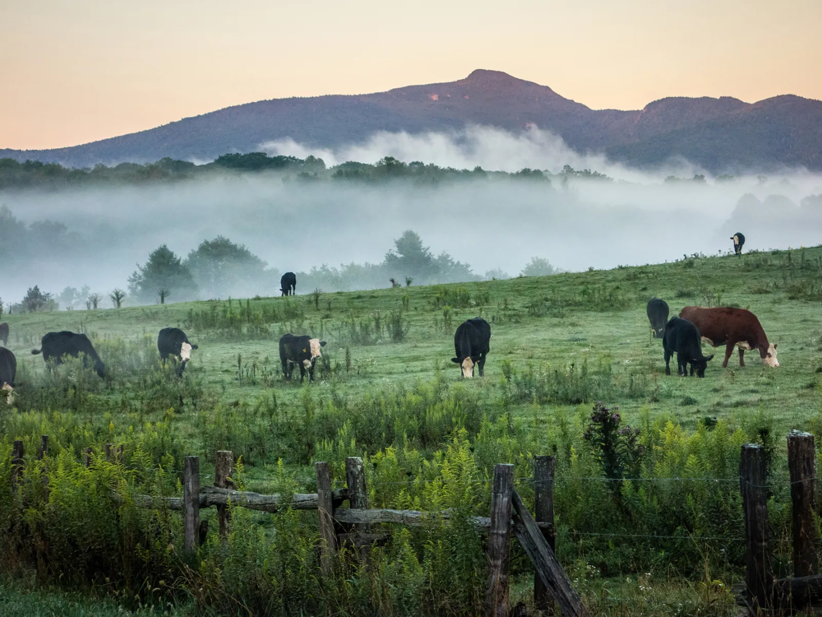 Blue Ridge Parkway Farm Lands in North Carolina