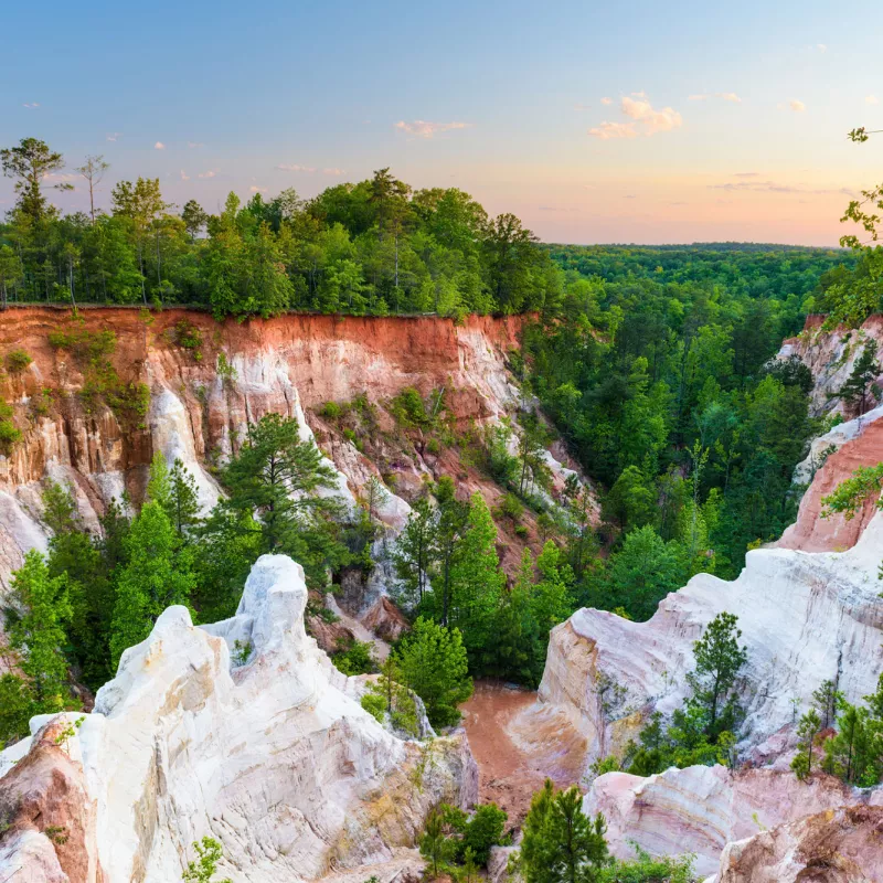 A Canyon in SouthWest Georgia