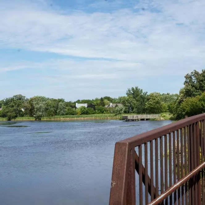bridge over a lake